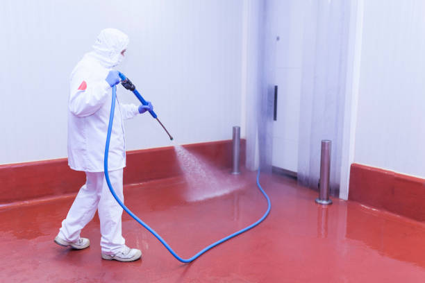 Best Winterizing Services  in Abbeville, GA